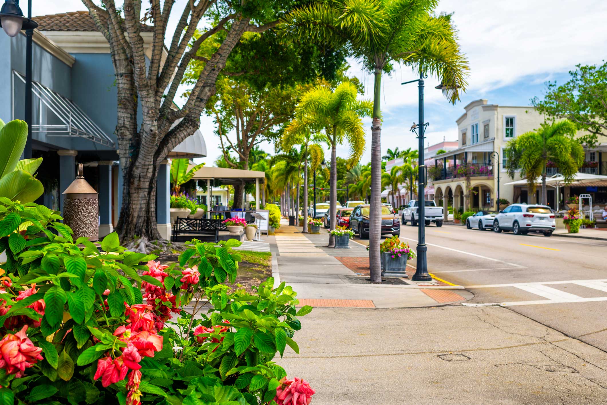 Things To Do https://southerncoastflorida.icnd-cdn.com/images/thingstodo/3AE1CBABthings-to-do-shopping.jpg
