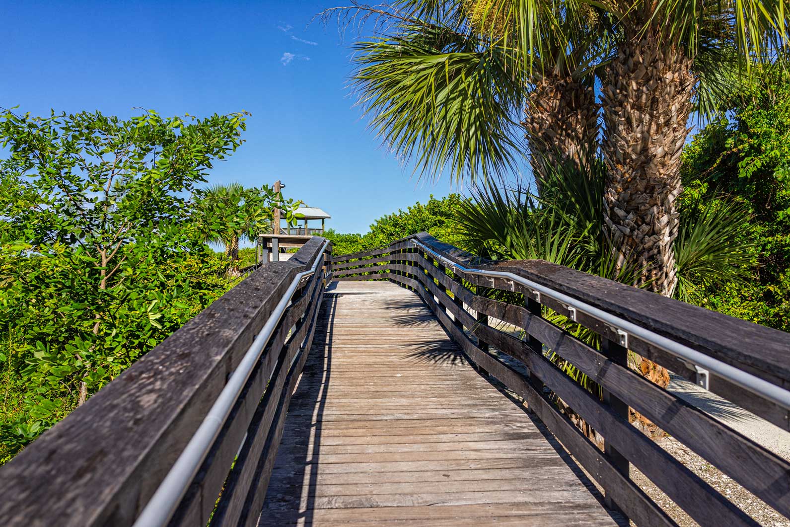 Things To Do https://southerncoastflorida.icnd-cdn.com/images/thingstodo/C25A35CCthings-to-do-parks.jpg